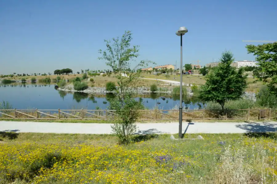 Pis amb piscina en venda a Sur - PAU 4, imagen 17