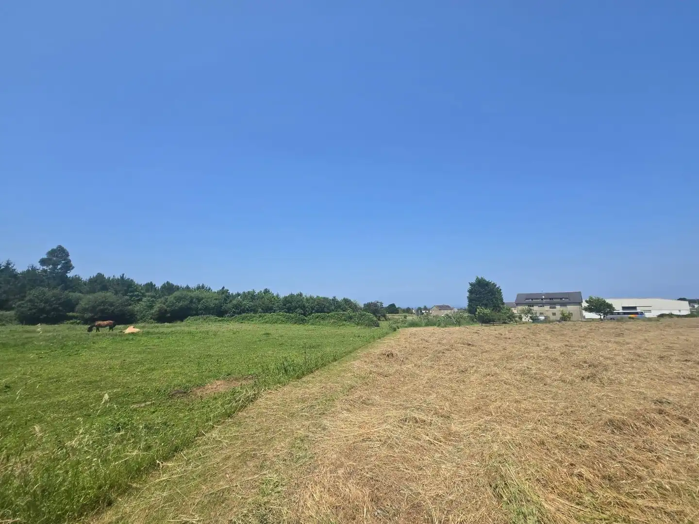 Residential land for sale in Carretera GENERAL SAN PEDRO 148, imagen 26