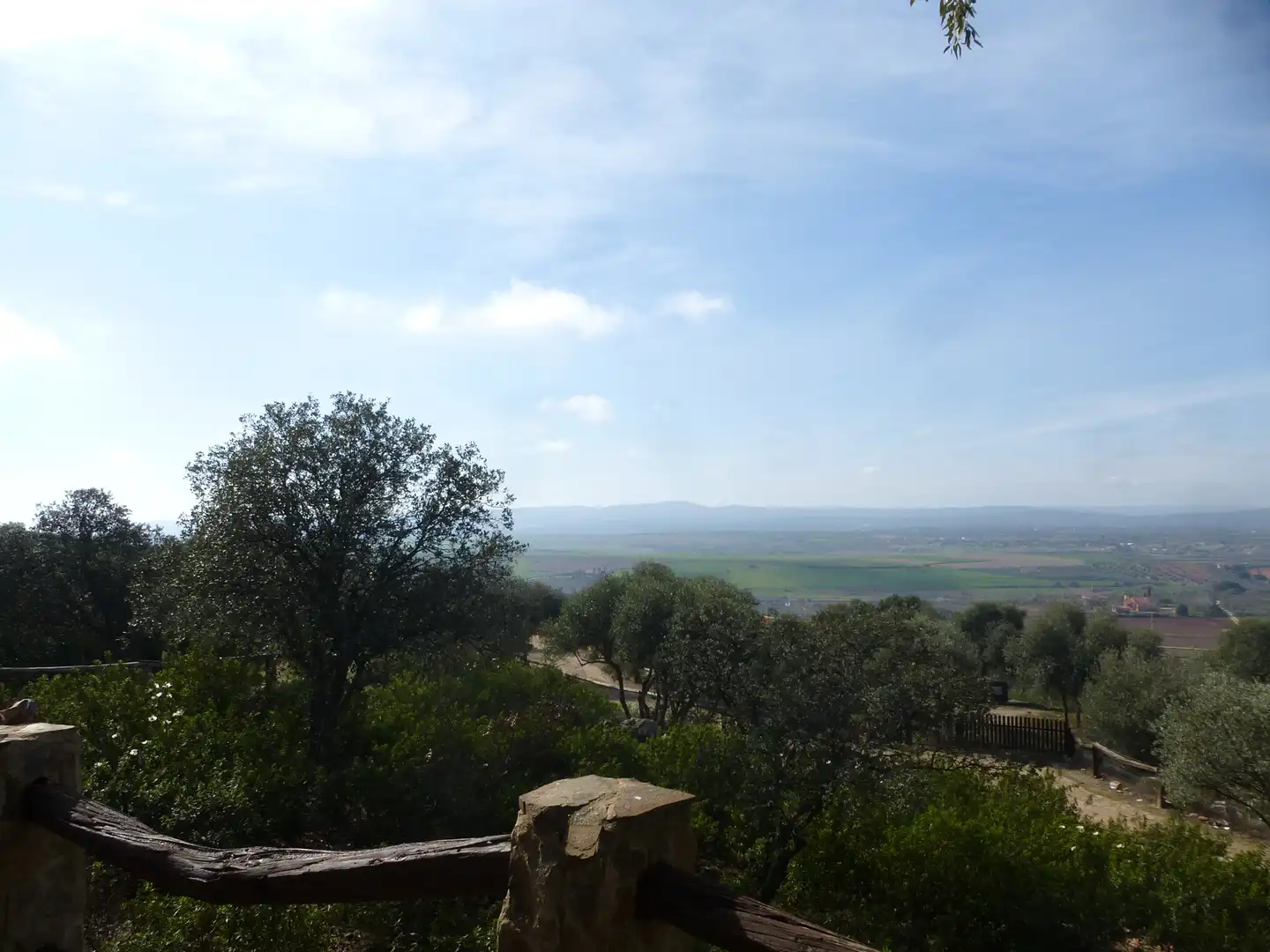 Garden of Land for sale in La Haba 
