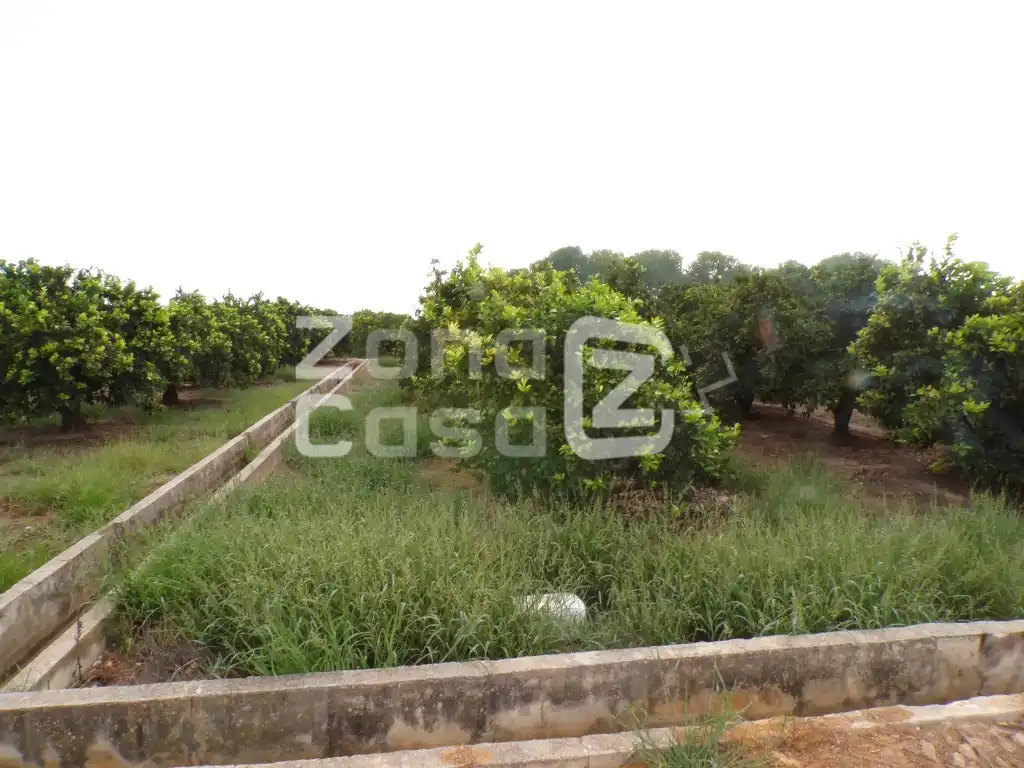 Casa rustica in vendita a Partida Passicos