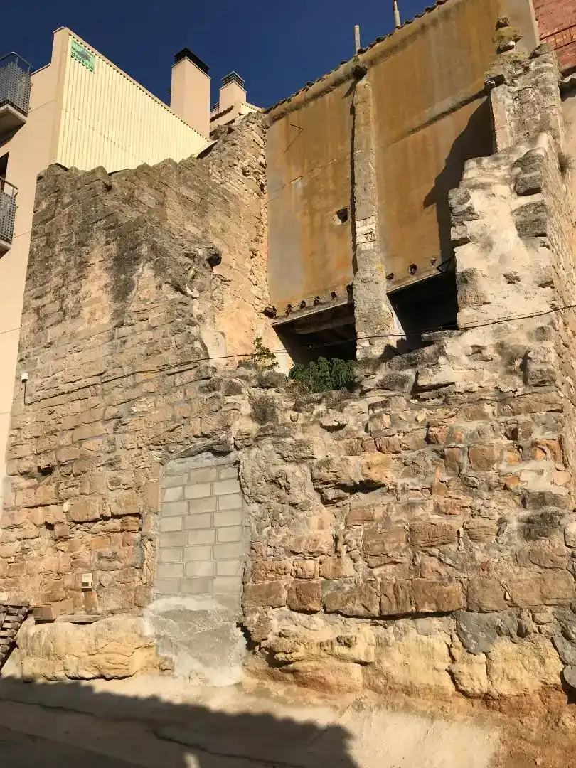 Vista exterior de Terreno en venta en Maials