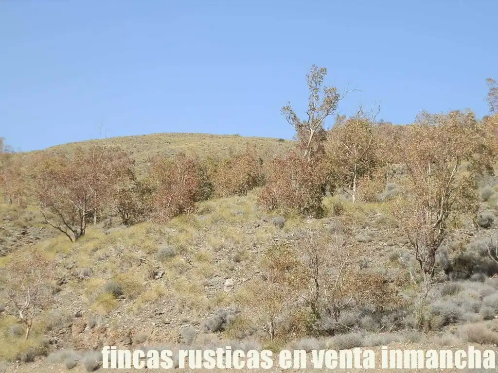 Terreny rústic en venda a Pechina, imagen 8