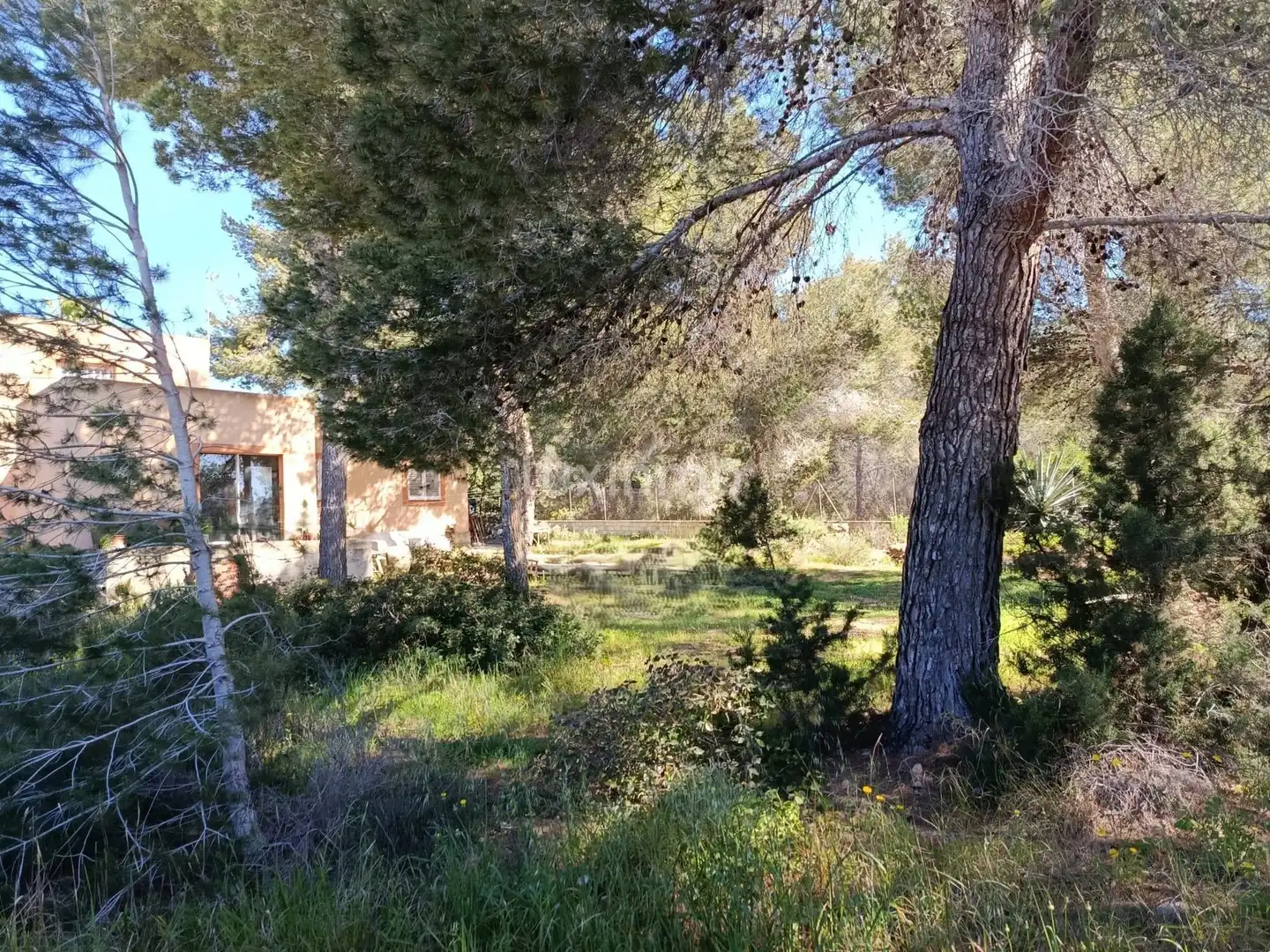 Casa o xalet en venda a Sant Jordi de Ses Salines - Sant Francesc