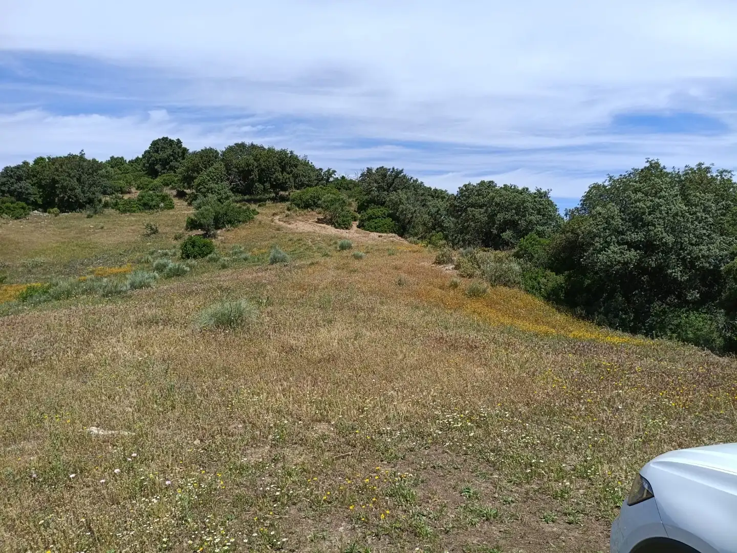 Land for sale in Coripe