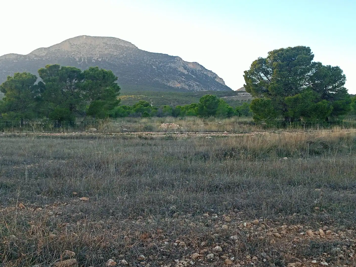 Terreno en venta en Lorca