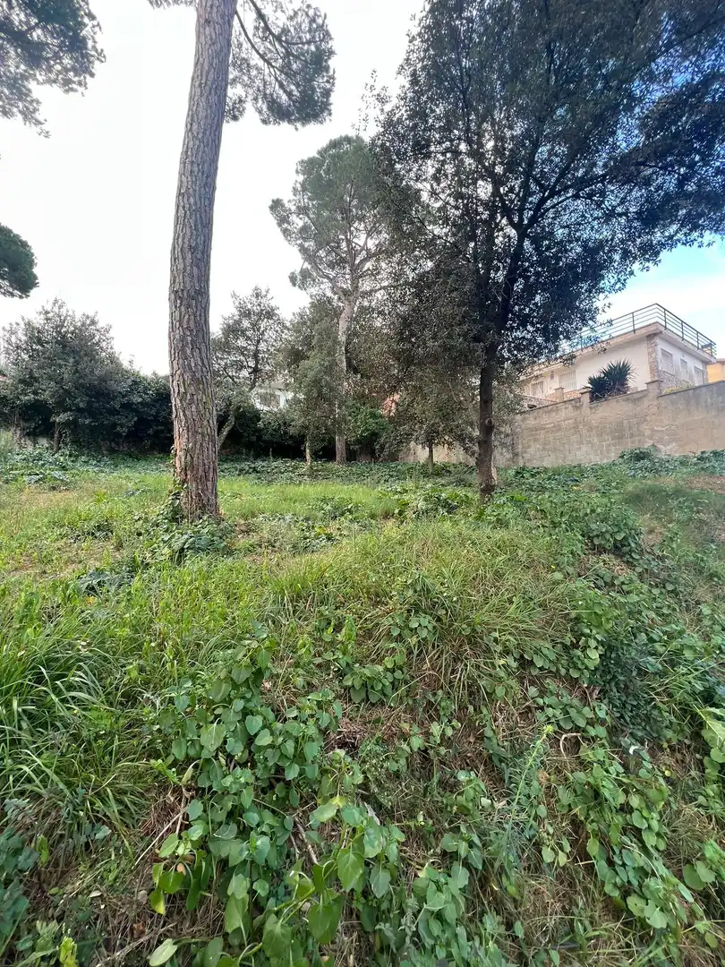 Grundstücke und Bauplätze zum Verkauf in Mas Mora - Sant Daniel