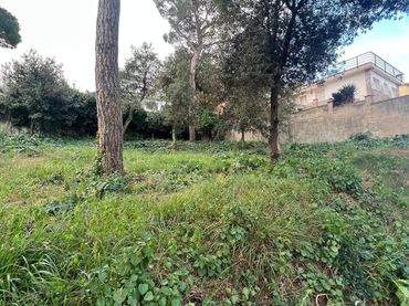 Terreni e lotti in vendita a Mas Mora - Sant Daniel