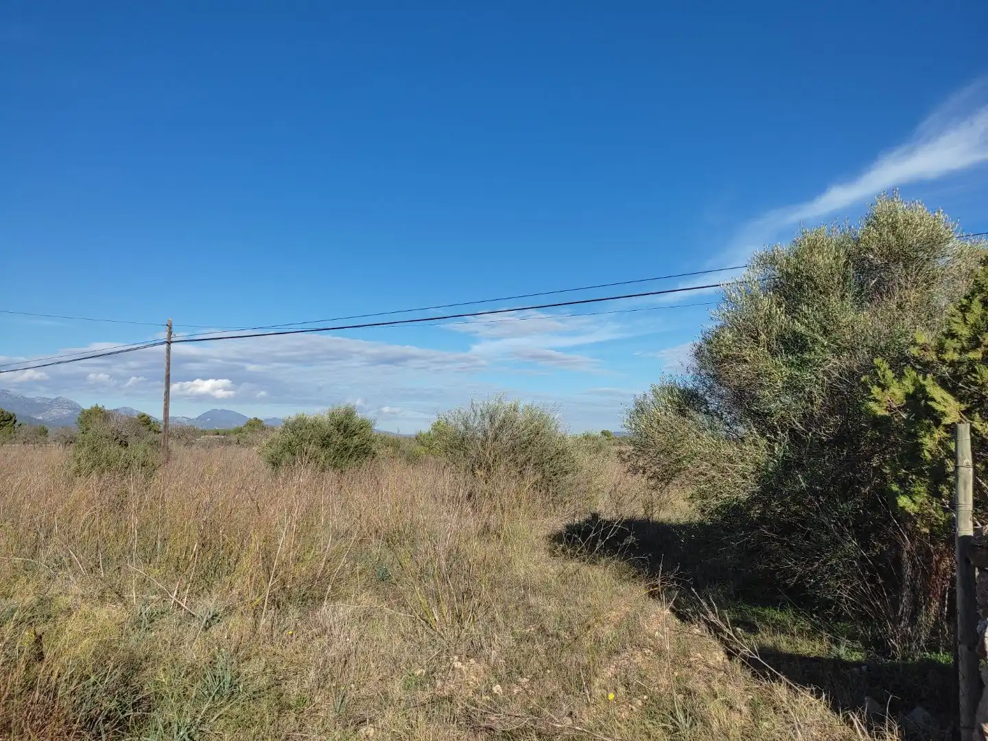 Baixos amb jardí en venda a Carrer d'en Fiol 60, imagen 2