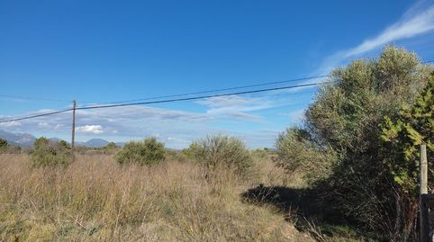 Solar rustico en Biniali , imagen 2