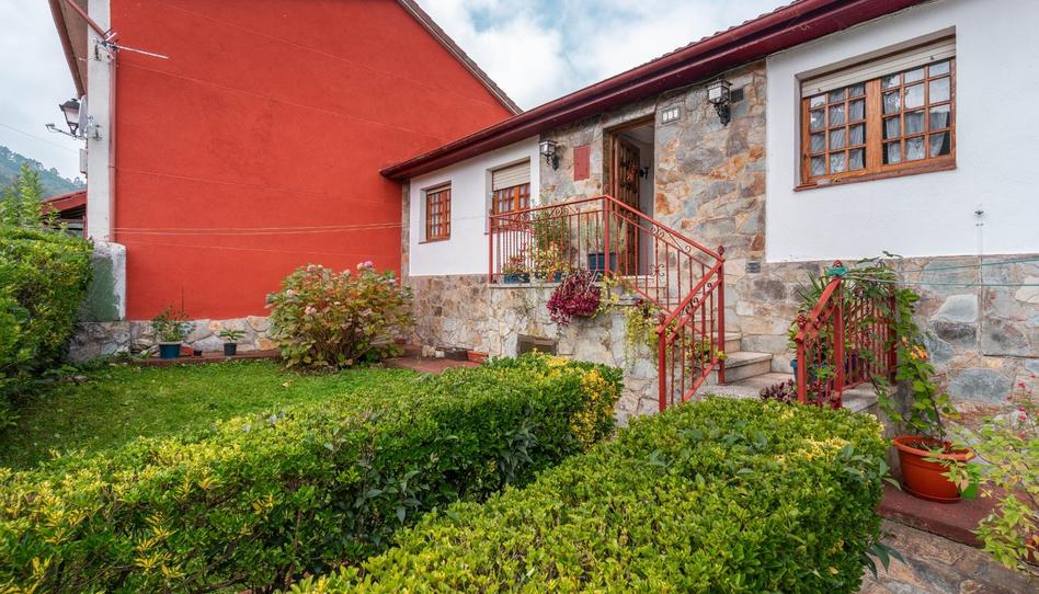 Foto 1 de Casa o xalet en venda a Calle Cerecedo, 11, Candamo, Asturias
