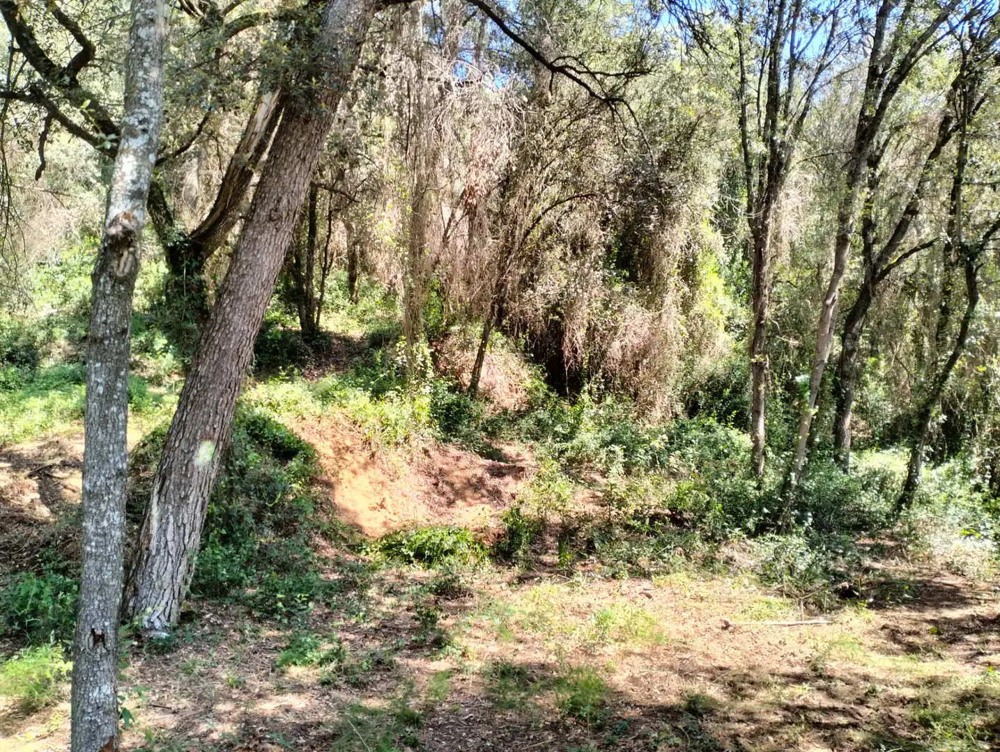 Casa o xalet en venda en Cervià de Ter amb Jardí privat, Terrassa i Balcó