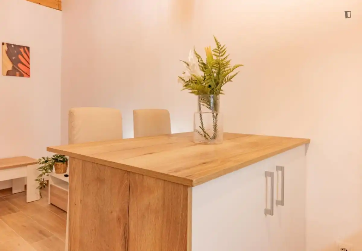 Menjador de Apartament de lloguer en Madrid amb Aire condicionat, Moblat i Rentadora