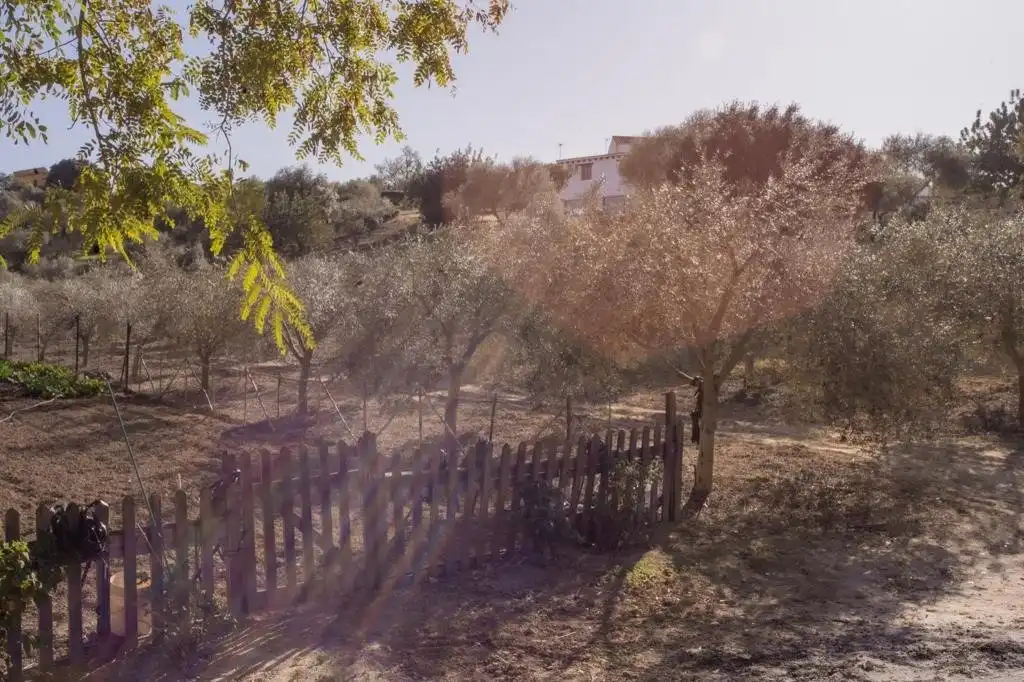 Jardí de Finca rústica en venda en Arcos de la Frontera amb Calefacció, Terrassa i Traster