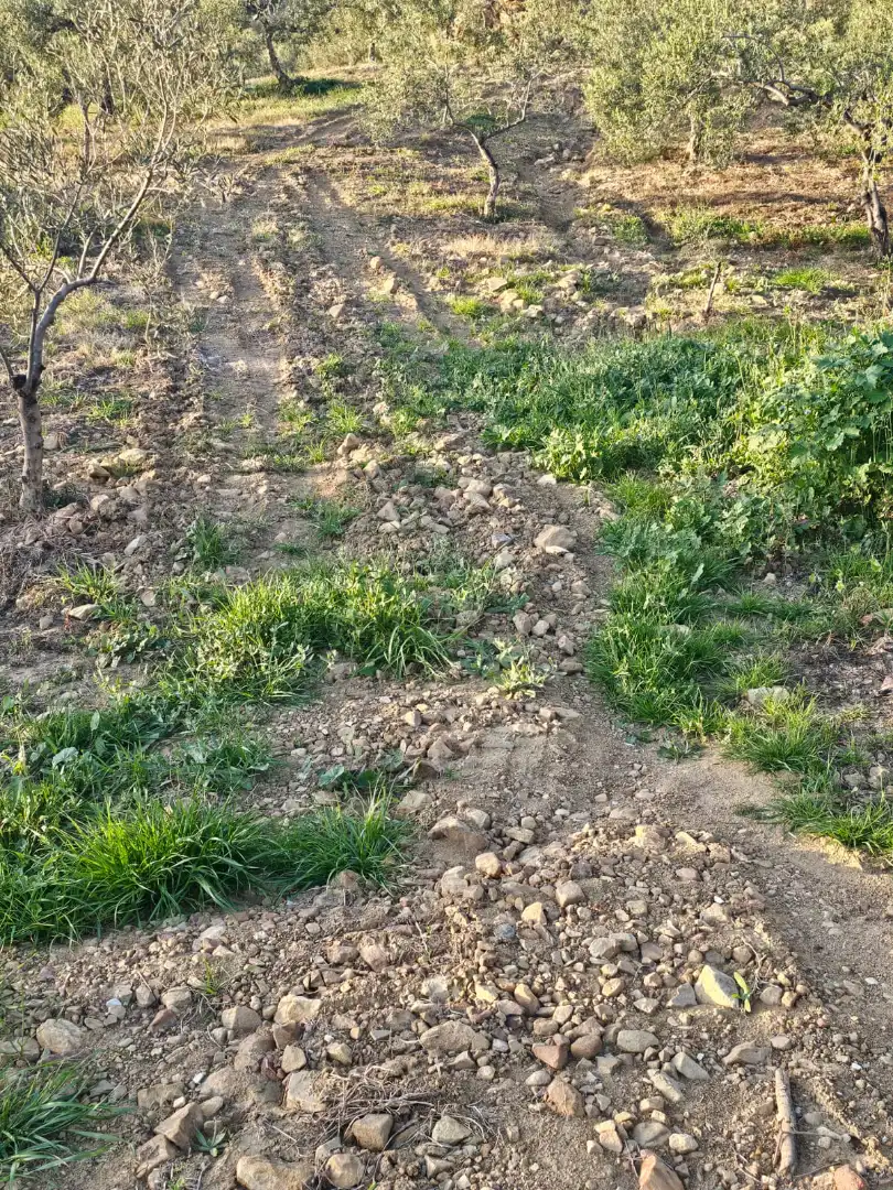 Terreni e lotti in vendita a Alozaina, imagen 3