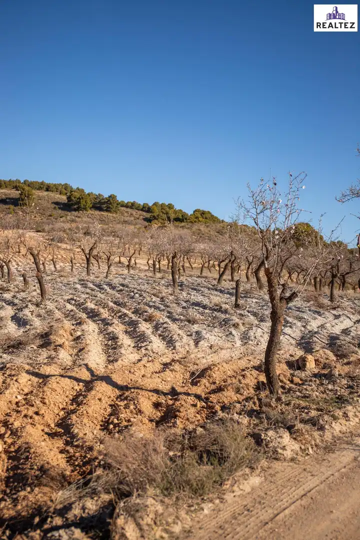 Rural land for sale in Laujar de Andarax, imagen 9