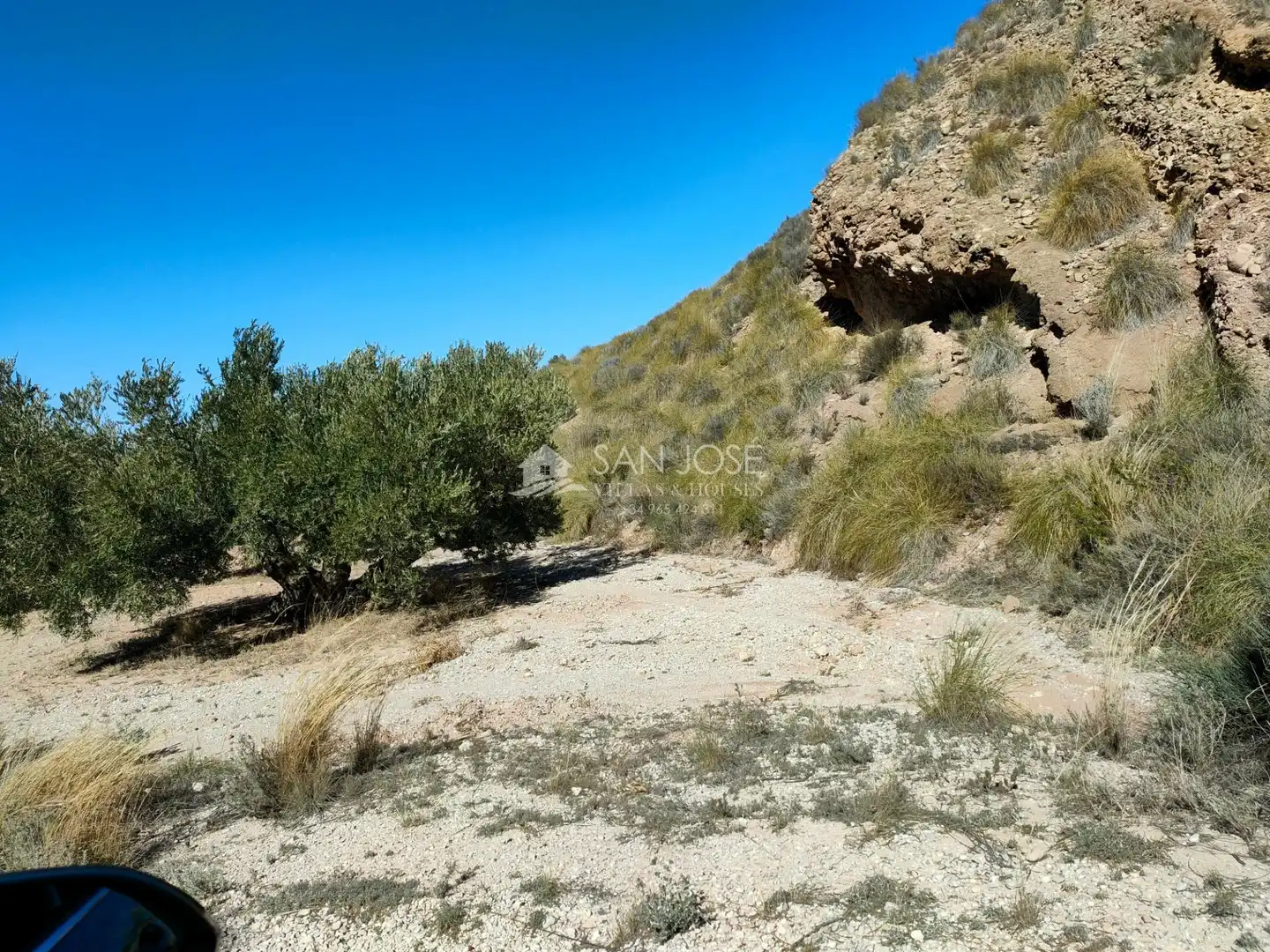 Lands and plots for sale in Abanilla, imagen 6