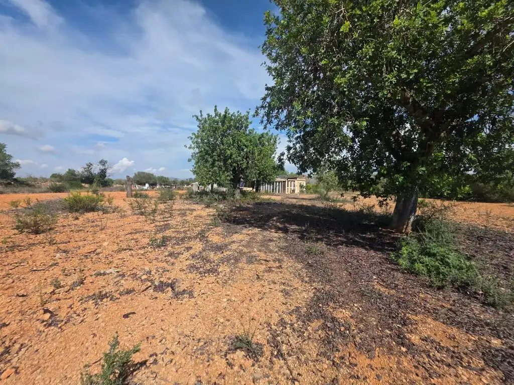 Casa rústica en venda a Llucmajor pueblo, imagen 8