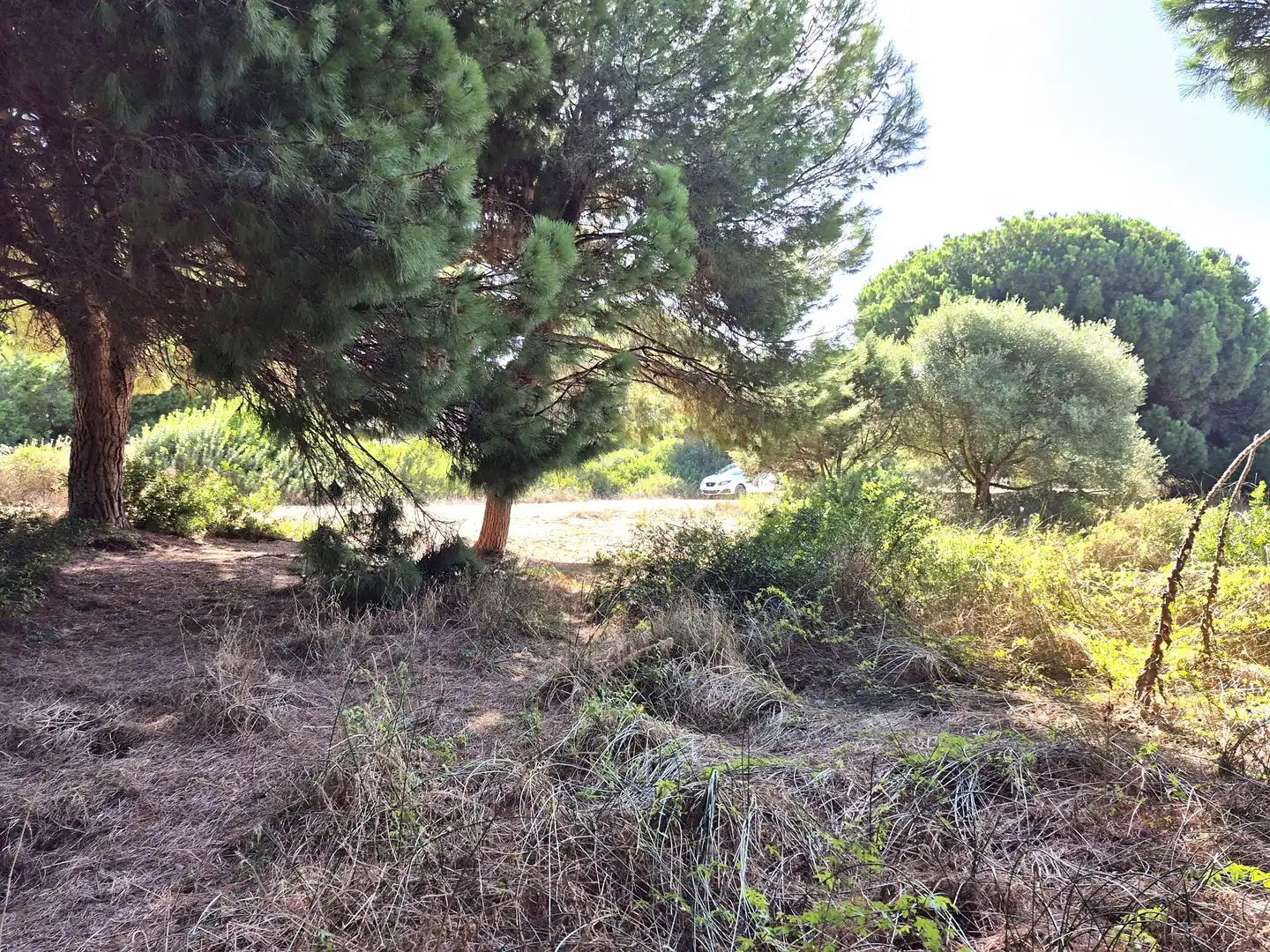 Terrenys i solars en venda a Los Caños de Meca, imagen 5