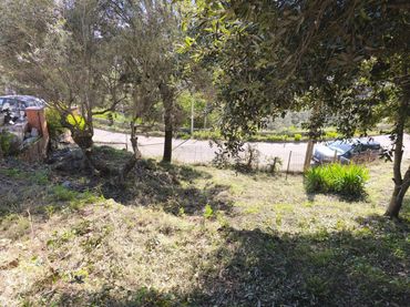 Terreni e lotti in vendita a SEGONA AVINGUDA