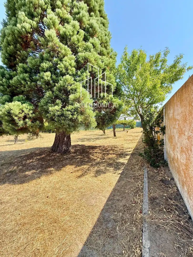 Rural land for sale in Cañaveral, imagen 7