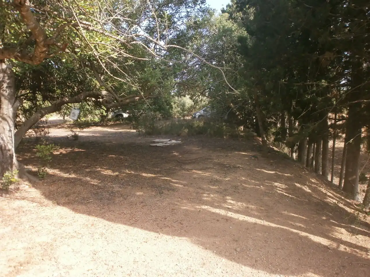 Rural land for sale in Carrer Major, imagen 5