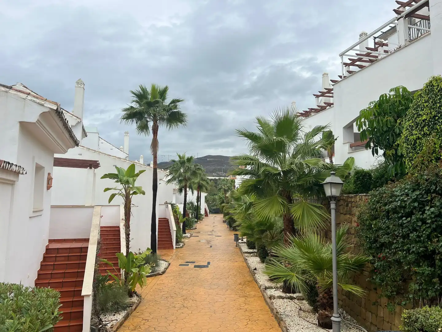Apartments for rent in Los Naranjos