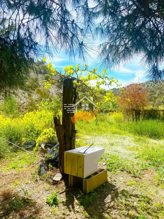 Casa rústica en venta en Vélez-Rubio, imagen 26