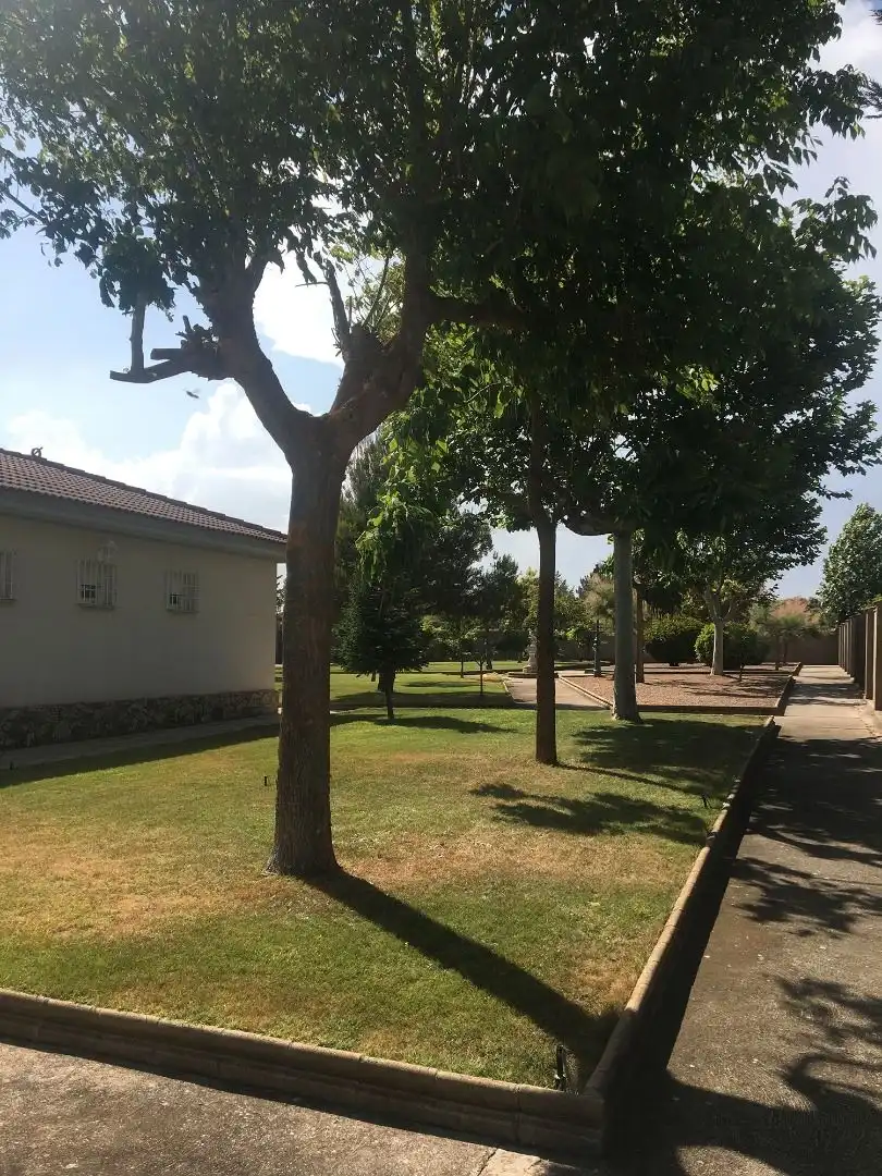 Jardín de Casa o chalet en venta en Calzada de Valdunciel con Calefacción, Jardín privado y Terraza