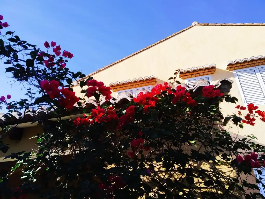 Vista exterior de Casa o chalet en venta en L'Alcúdia de Crespins con Piscina