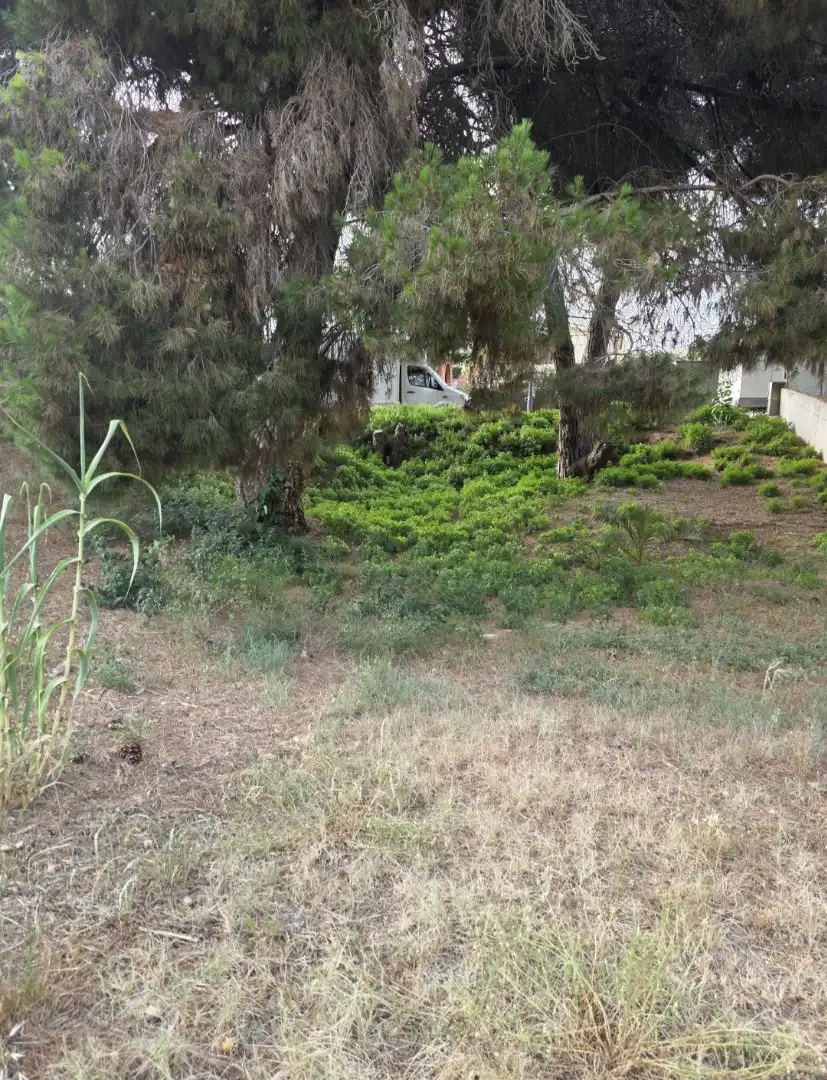 Terreno residencial en venta en Martorelles, imagen 9