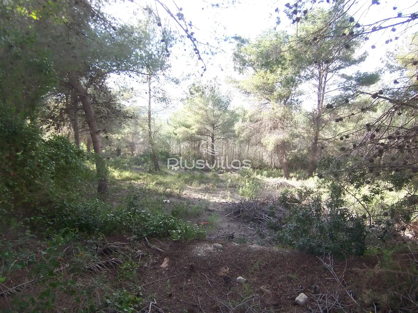 Terrenys i solars en venda a Benimeit - Tabaira, imagen 3