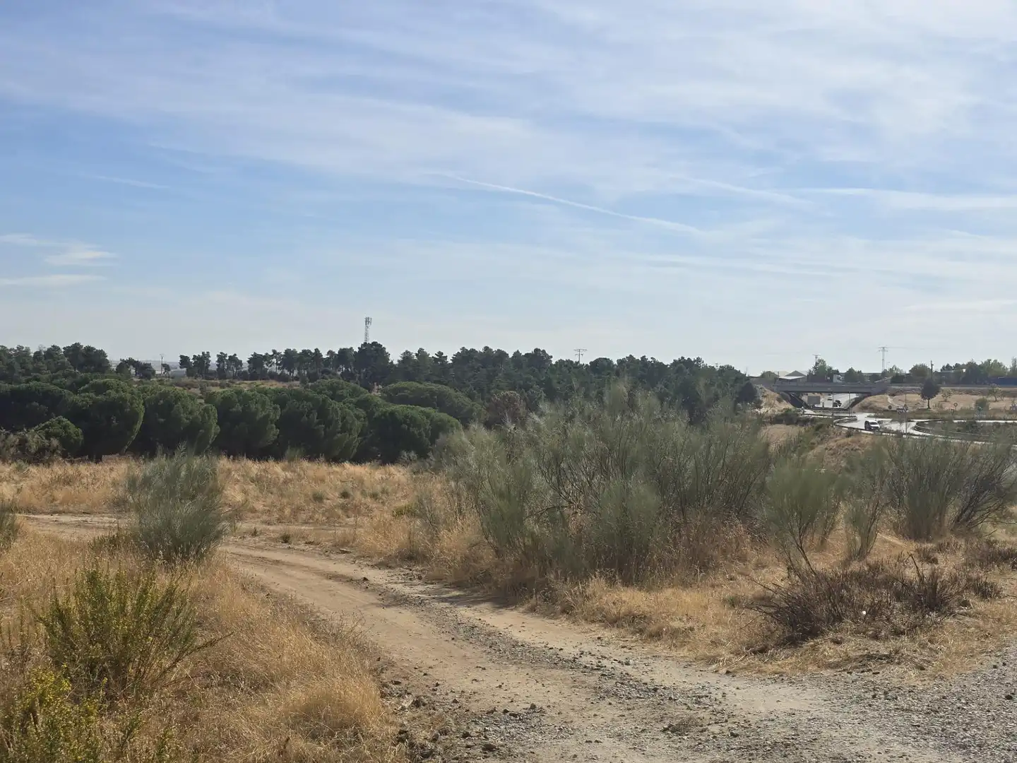 Terreny residencial en venda a La Dehesa - El Pinar, imagen 21