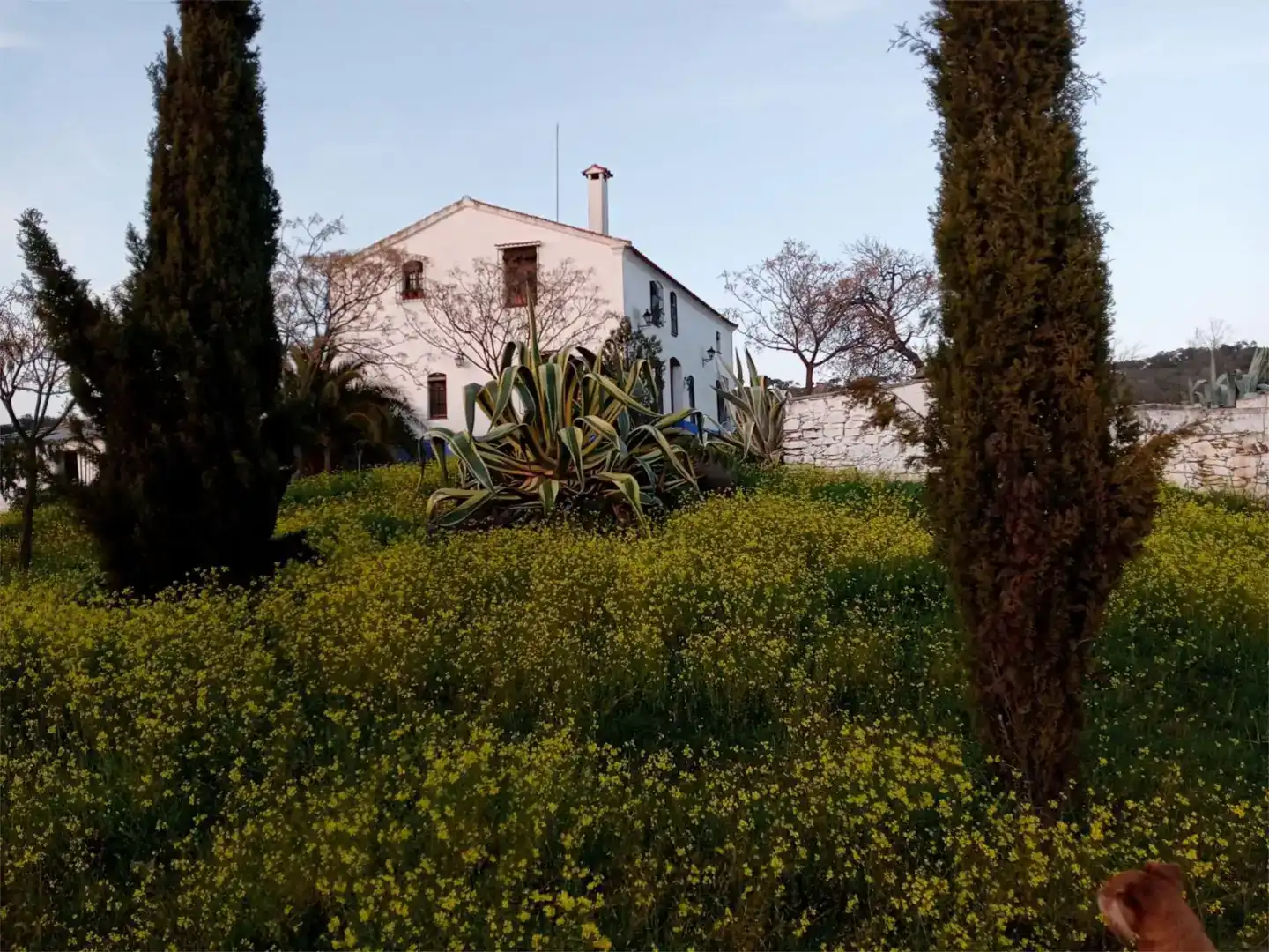 Jardí de Finca rústica en venda en Azuaga