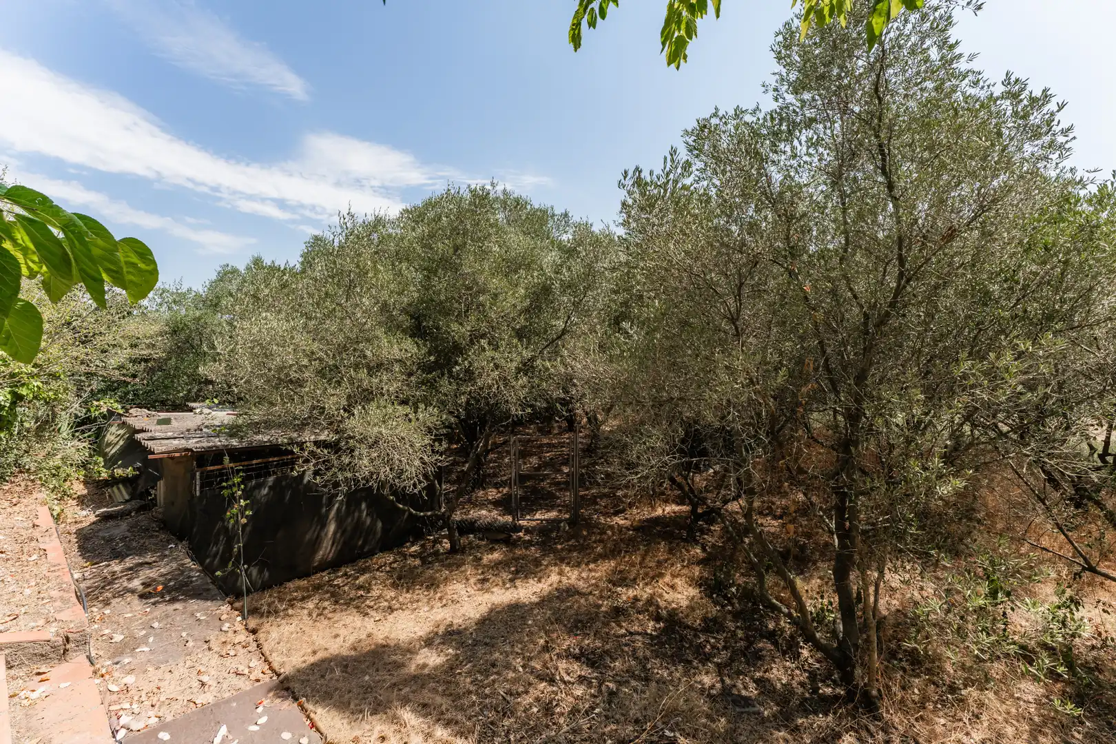 Haus mit Terrasse zum Verkauf in Sant Pere de Vilamajor, imagen 8