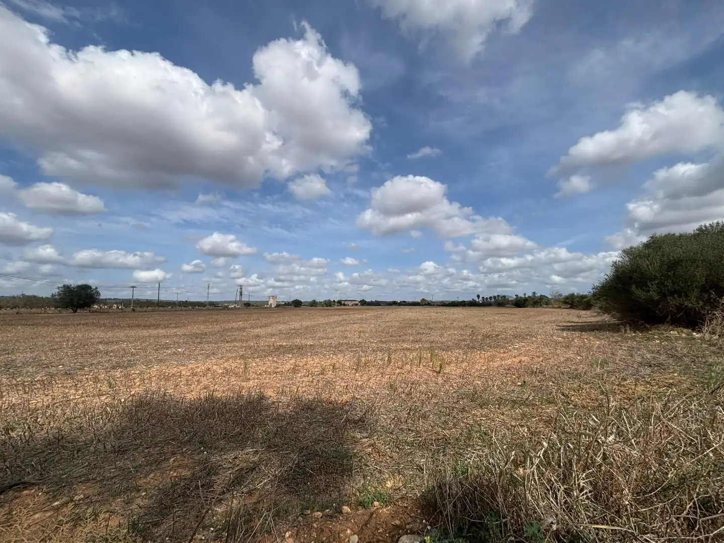 Wohnbaugrundstück zum Verkauf in Campos poble, imagen 2