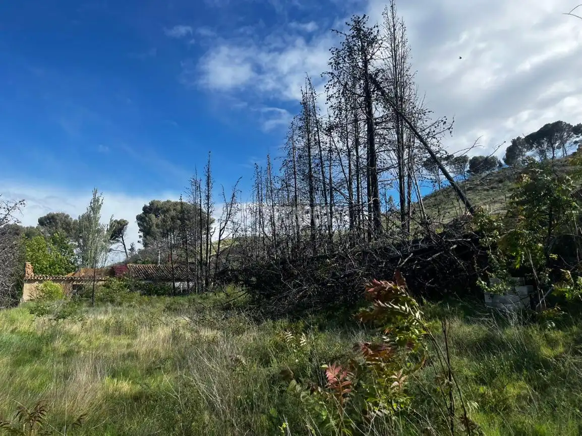 Land for sale in Borja