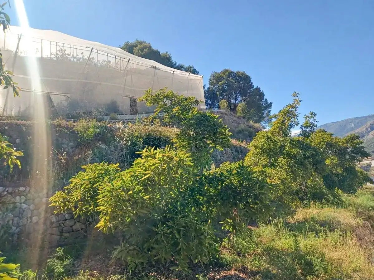 Finca rústica en venta en Polop