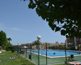 Piscina de Apartament en venda en Torrevieja amb Terrassa i Piscina comunitària