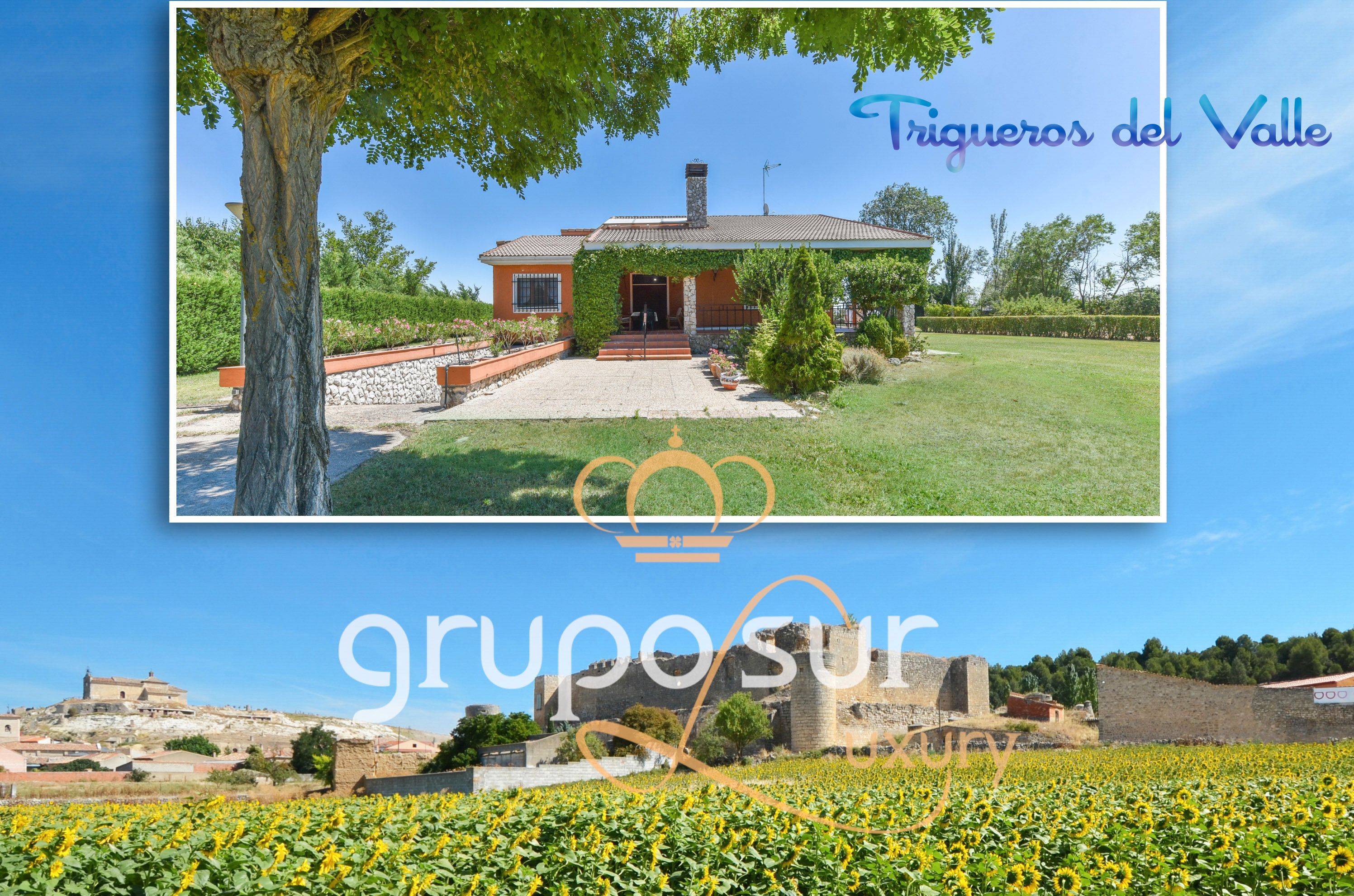 Jardí de Casa o xalet en venda en Trigueros del Valle amb Calefacció, Jardí privat i Terrassa