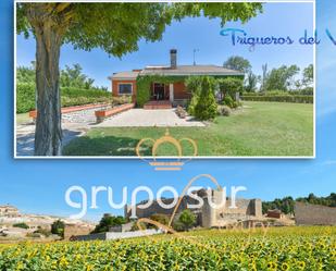 Jardí de Casa o xalet en venda en Trigueros del Valle amb Terrassa i Piscina