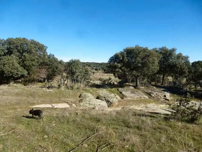 Terreni e lotti in vendita a Centro, imagen 8