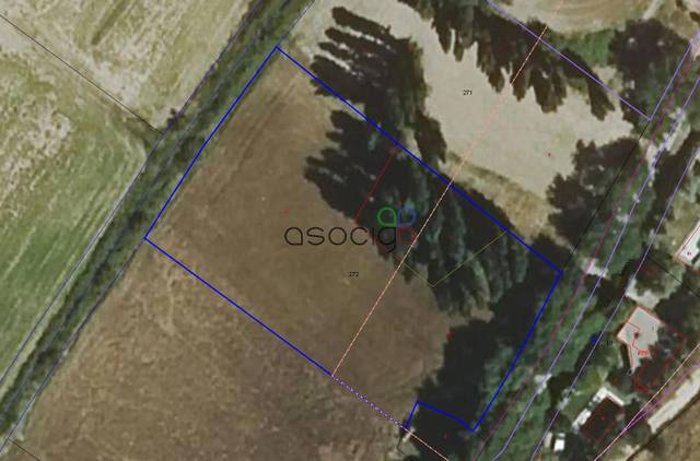 Terreno en Venta en MAYOR en Centenera