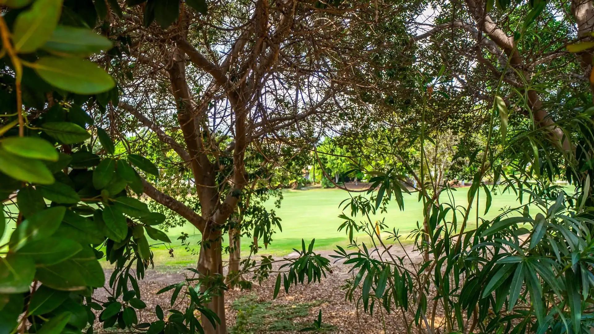 Flat with pool for sale in Calle BRITANIA "Venus Golf", imagen 28