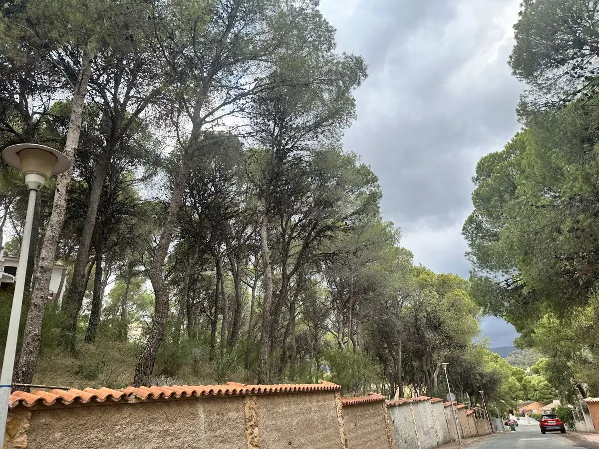 Wohnbaugrundstück zum Verkauf in Torres Torres, imagen 24