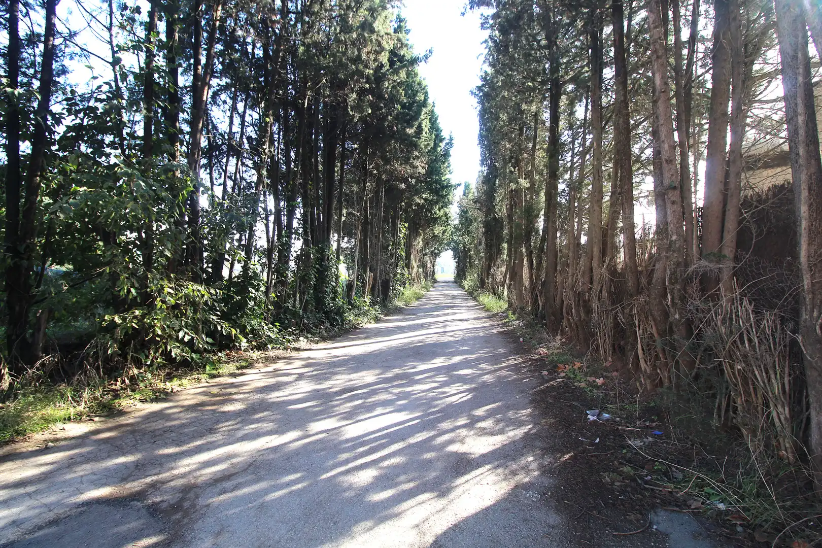 Exterior view of Land for sale in Lliçà de Vall