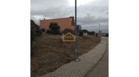 Parcela Venta Almenara de Tormes, imagen 2