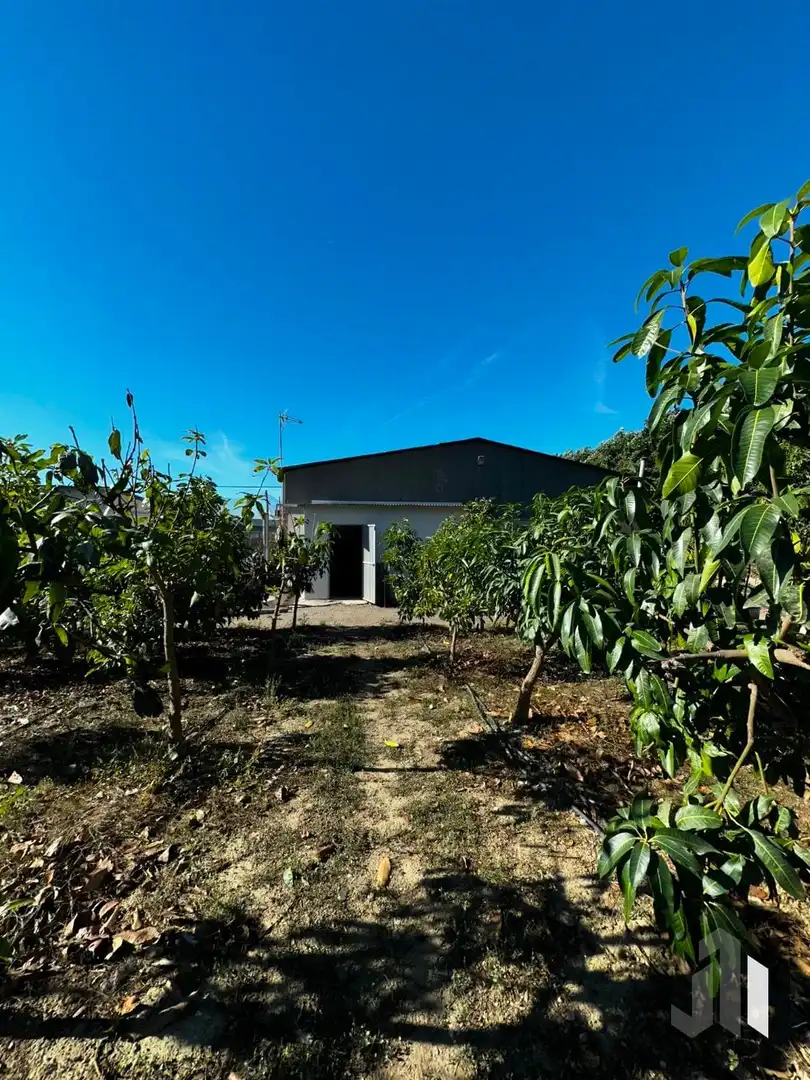 Casa rustica con piscina in vendita a Vélez-Málaga ciudad, imagen 41