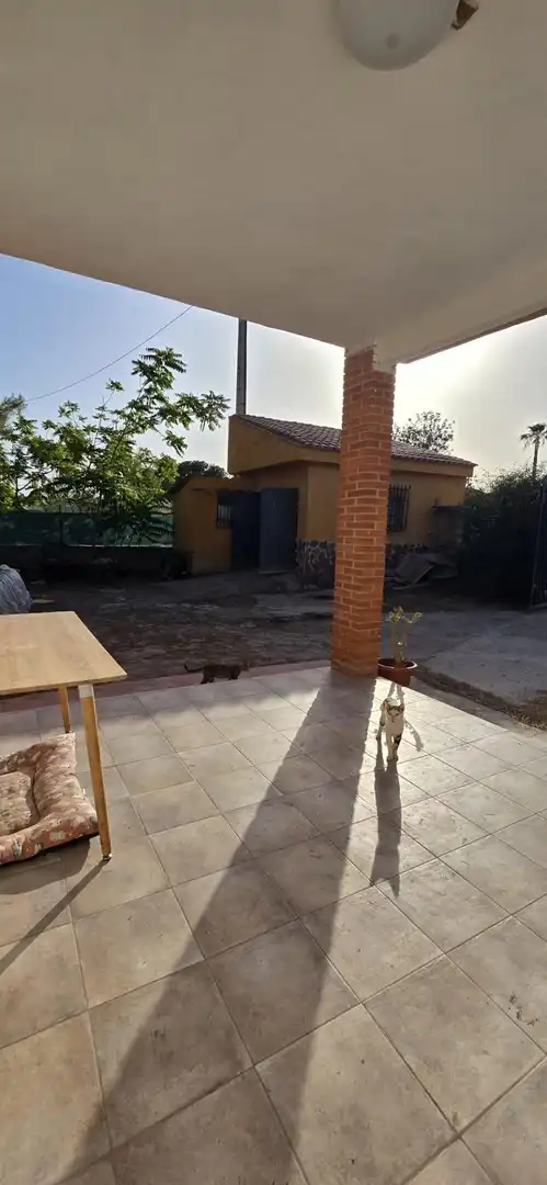 Jardí de Casa o xalet en venda en Llíria amb Terrassa i Piscina comunitària