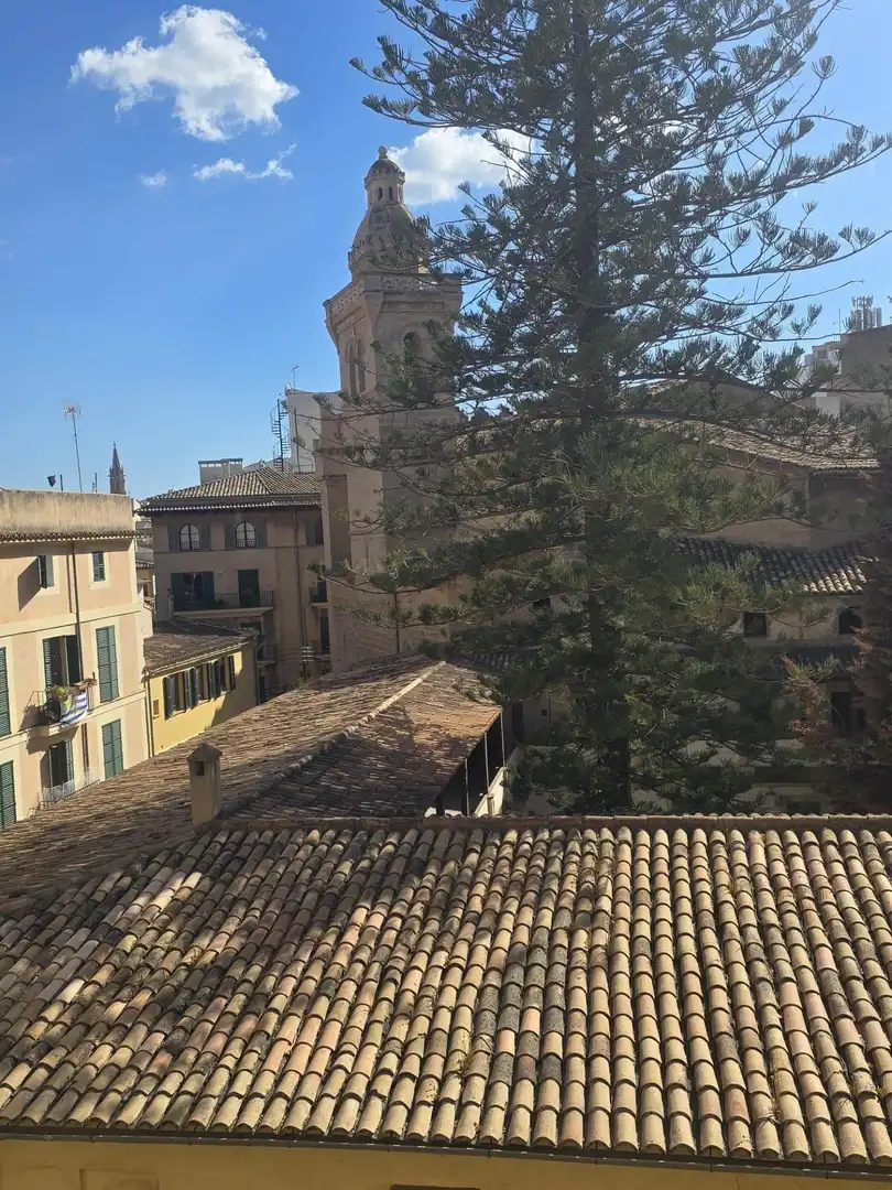 Vista exterior de Piso en venta en  Palma de Mallorca con Aire acondicionado, Calefacción y Terraza