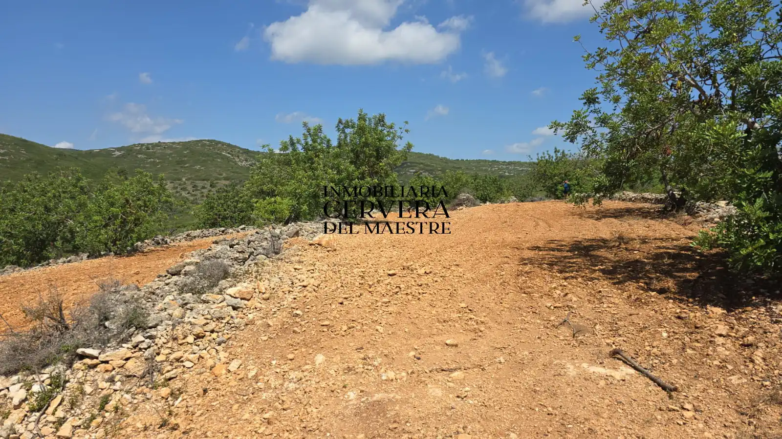 Rural land for sale in Cervera del Maestre, imagen 19